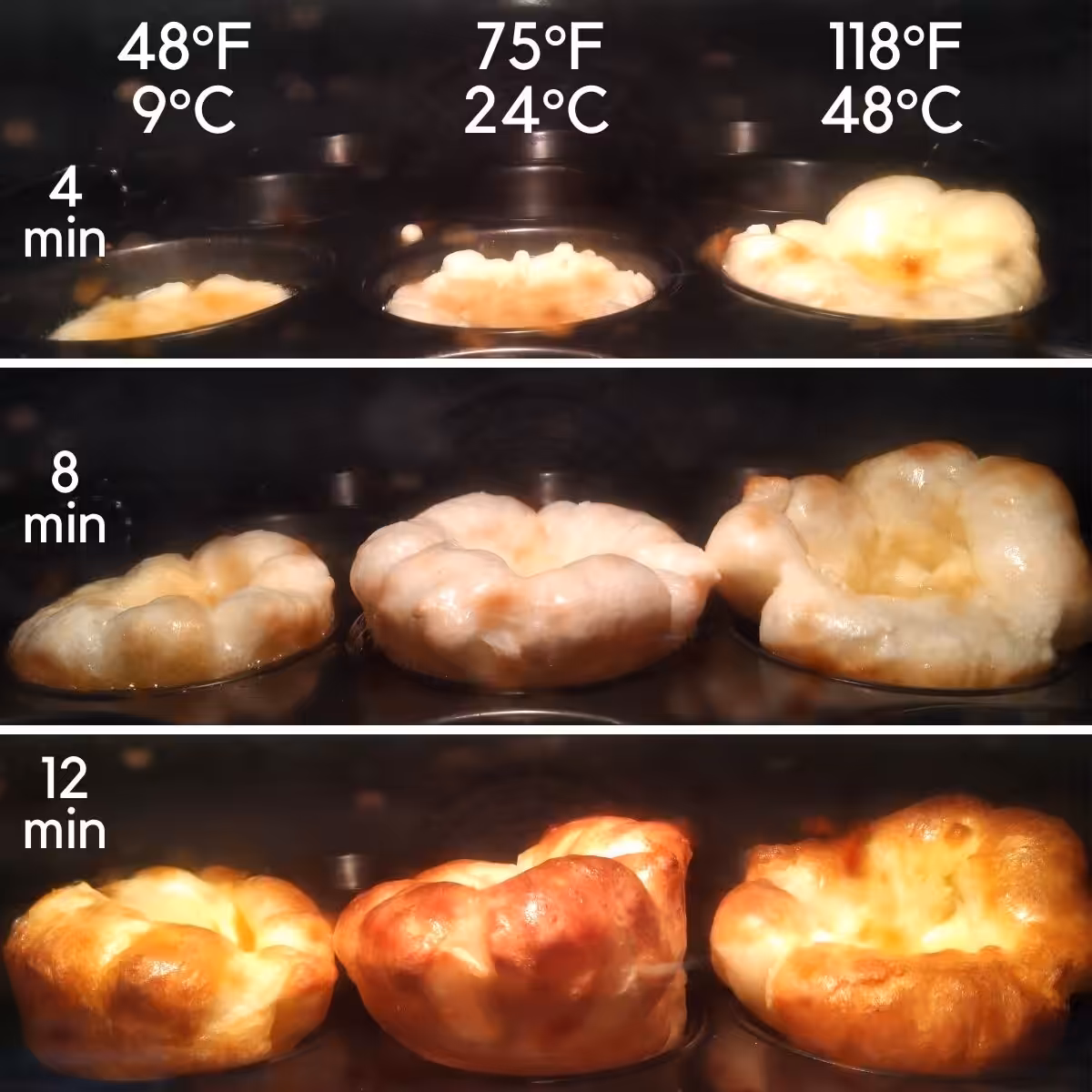 A series of photos of Yorkshire puddings cooking, each with different starting batter temperatures.