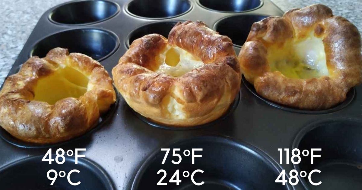 Closeup of 3 Yorkshire puddings in a muffin pan, with different batter temperatures printed above them (48F, 75F and 118F)