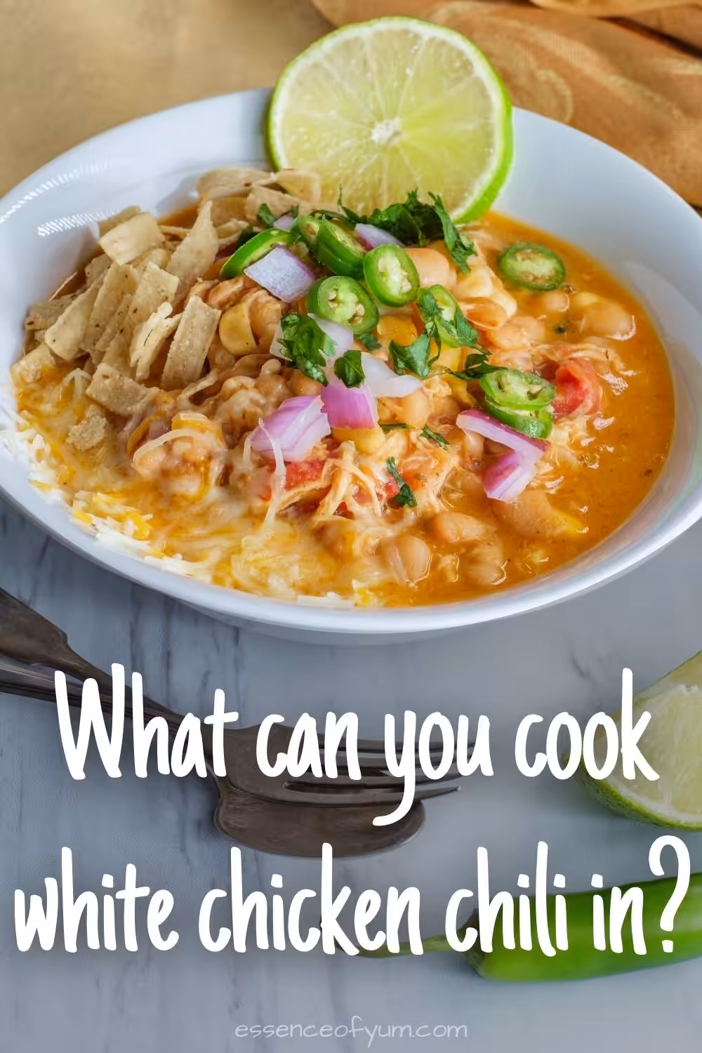 A bowl of white bean chicken chili topped with jalapeno slices, chopped red onion and tortilla strips, plus the text what can you cook white chicken chili in.