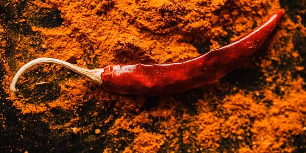 Closeup of a dried red chili sitting in a pile of ground chili.