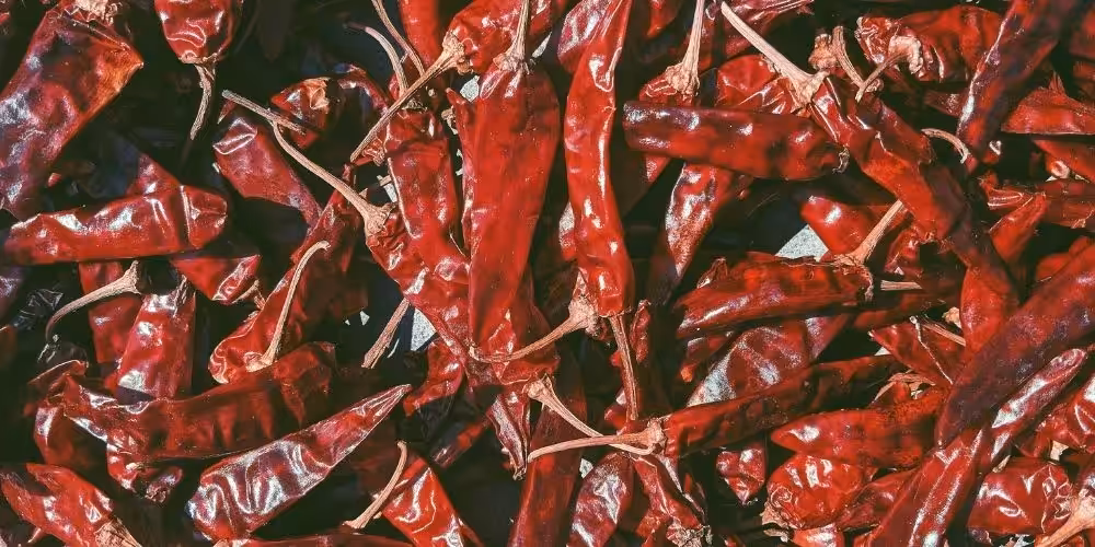 Closeup of many dried red chilies.