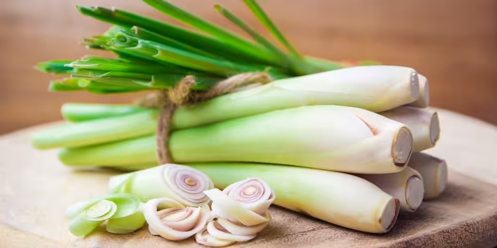Closeup of a tied bunch of lemongrass stalks, with some sliced in the foreground.