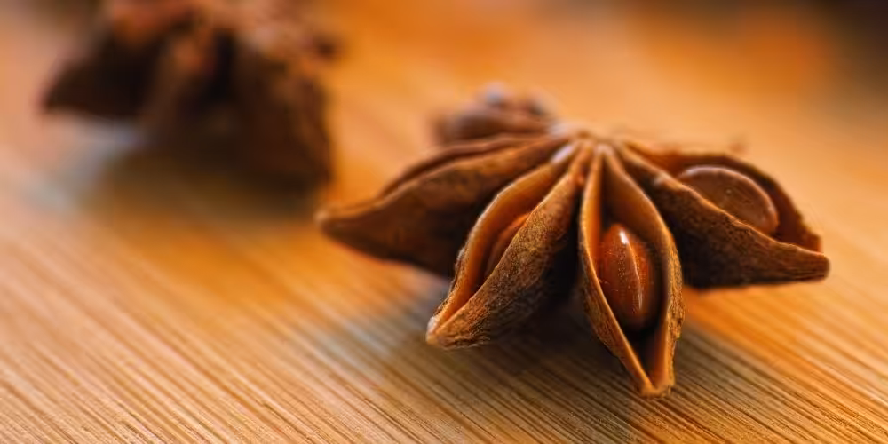 Closeup of a star anise pod, with another in the background.