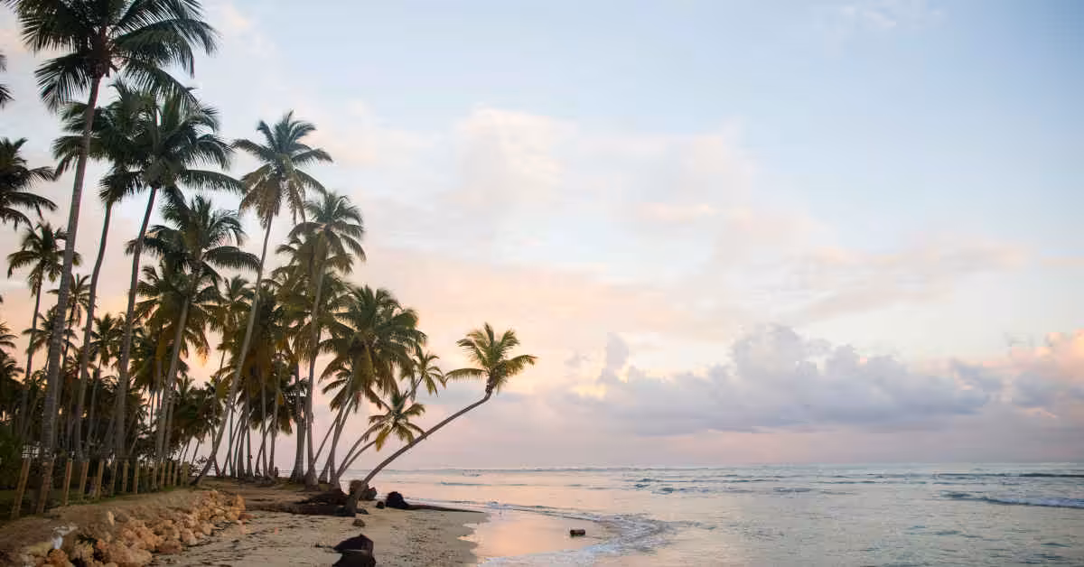 A Caribbean vista of palm trees along a beach.